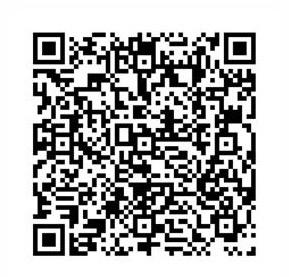 QR Code Pix